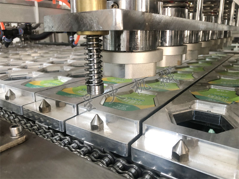 江蘇盒裝牛肉滑自動灌裝封口機(jī)細(xì)節(jié)實(shí)拍