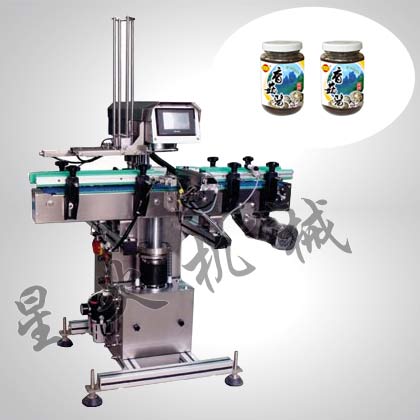 單工位自動真空旋蓋機(jī)